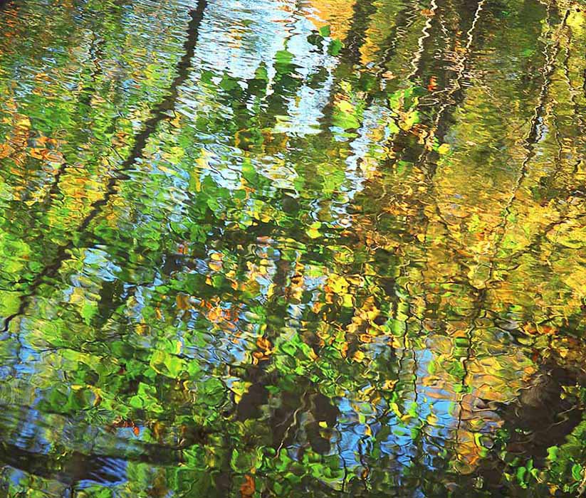 Rippled reflection of a basswood tree in Enfield Creek in Treman State Park