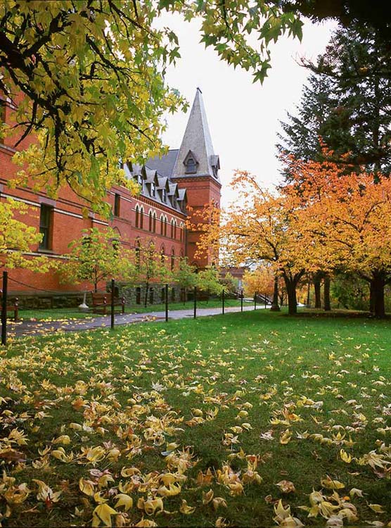 Fallen autumn leaves and Sage Hall, Cornell U.