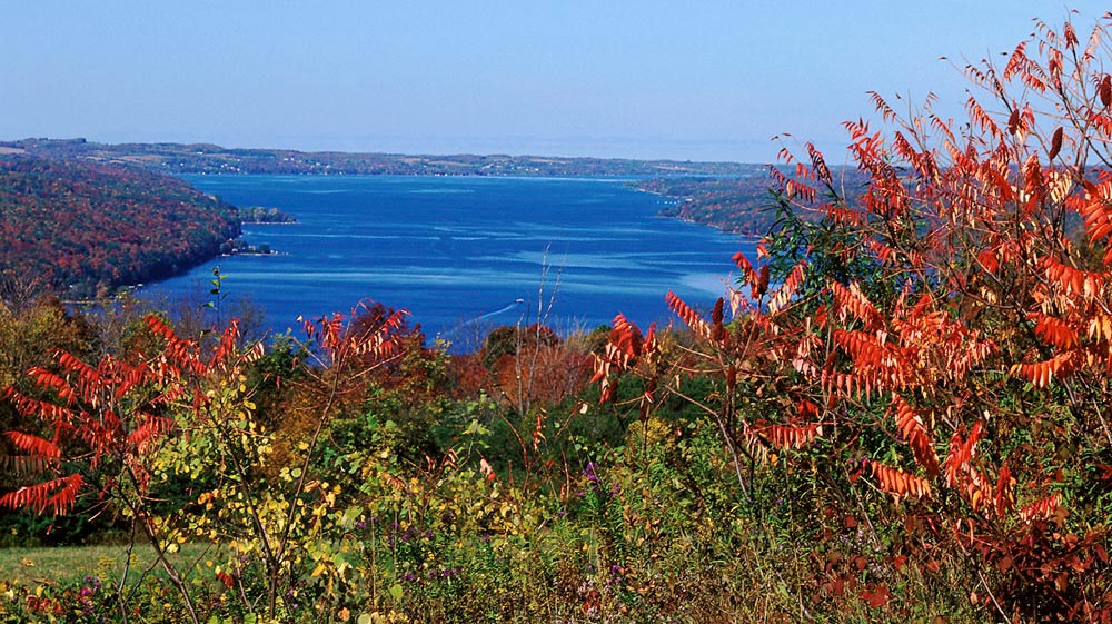 View of Skaneateles Lake with brightly colored sumac bushes