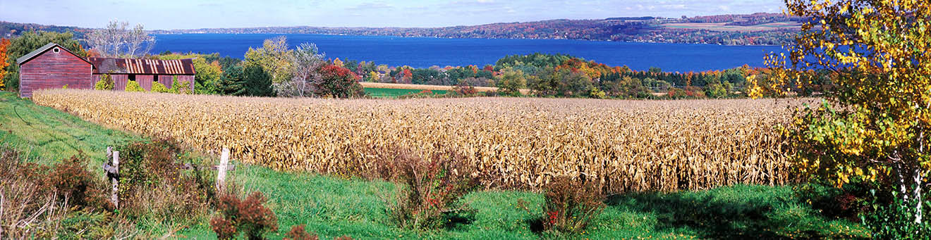Panorama of cornfields and Skaneateles Lake in autumnm